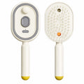 Electric Water Spray Hair Brush